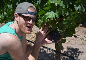 Success! Arlen found the grapes : )