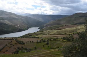 The Douro Valley