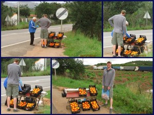 "Here is a progression of just how many oranges we got for 2 Euro. The oranges are so flavorful and wonderful, probably the best I’ve ever had!"- Lisa