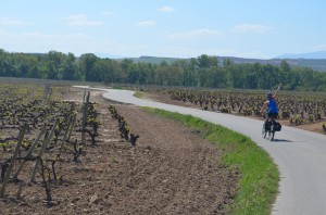 Our typical biking path. No cars, just vineyards.