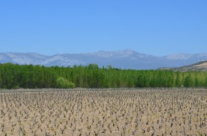 Spain - SB and Rioja 108