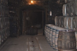 Traditional underground cellar of the winery. Over 100 years old, the walls are covered in mold to control the temperature and humidity. 